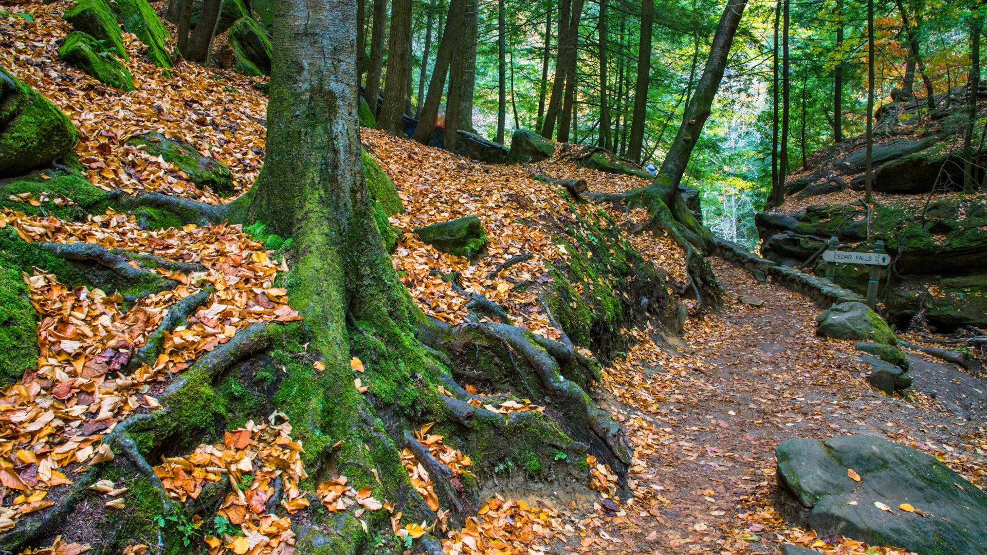 State Parks in Hocking Hills